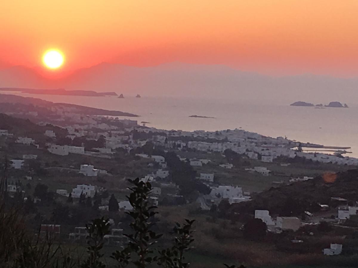 Paros Villas Nereids Dış mekan fotoğraf